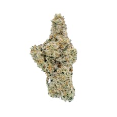 Premier Tier - Star Fox