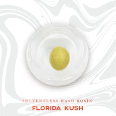Vivid | Live Rosin | Florida Kush 1g