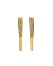 Sessions PAPA SMURF | 2-Pack