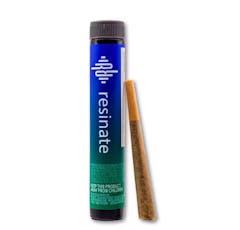 Skunk #1 Pre-Roll 1g