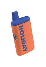 Holiday | Leisure | 1g | Disposable