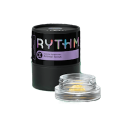 Animal Scout | Live Resin