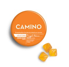 Pineapple Habanero - 20pk/100mg (5mg THC each)