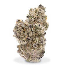 Pacific Grove - Mentha