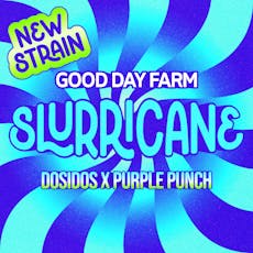 GDF: Flower | Slurricane | 14g