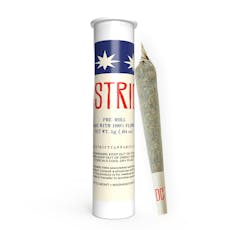 Infused Pre Roll: Beach Cake Cake Liquid Diamonds | 1G | 1pk