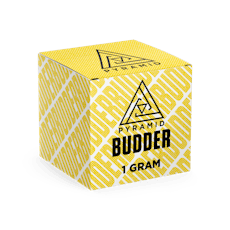 Pyramid | Kush Mintz (H) Budder | 1g
