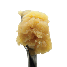 Ice Kream Hash Egyptian Gold Live Rosin | 1g