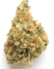 Pre Roll: Motorbreath 5 Pack