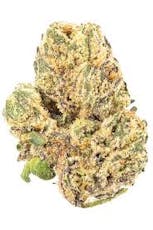 STIIIZY | Pink Champagne 7g