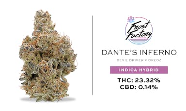 Frost Factory - Dante's Inferno - Elite Shelf Flower