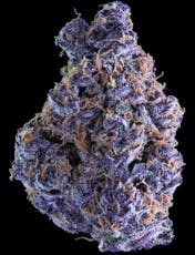 Pacific Purple by Falcanna