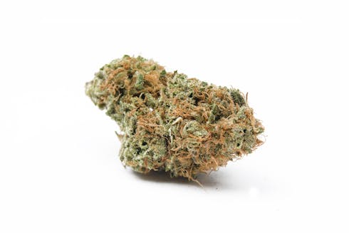 Urkle Train Haze