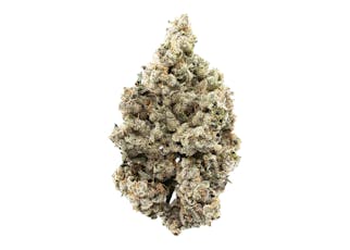 3.5g Durban Poison | TAX INCLUDED
