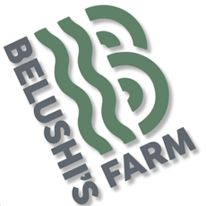 Belushi's Farm | Hashburger (I-H) Pre Roll | 1g