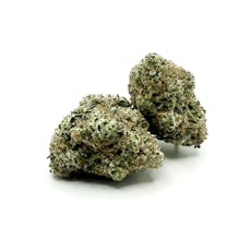 Peach Gasoline - Oregrown (H)