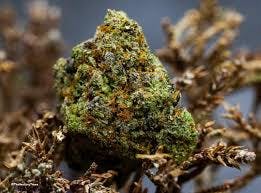 Silver Lake | Bud | Banana Zkittlez (IH)