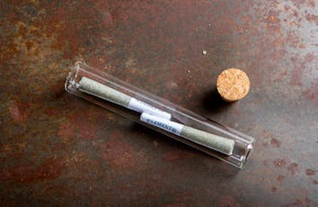 Fox Hollow 2 x .5g Dream Factory Pre-Roll