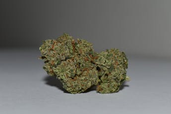 Limon Cake 3.5g Pre-Pack