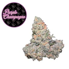 3.5g | Purple Champagne | Highmark Provisions