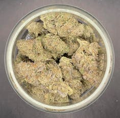 London Fog (Excolo) 32.01%
