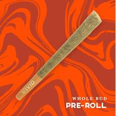 Vivid | Pre-Roll | Alien Mintz 1g
