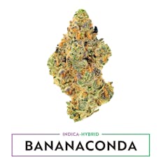AMAZE - PREPACK - 3.5G - BANANACONDA - HYBRID