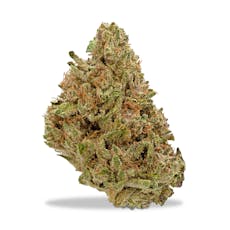 Benson Arbor - Super Boof