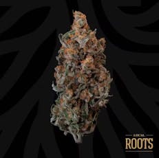Local Roots | Jack Skunk | 3.5g