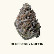 STX - Blueberry Muffin #4 3.5g