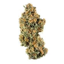Green | Mystic Mint 28g