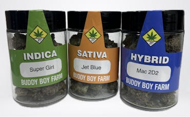 Buddy Boy Rainbow Guava #5 28g