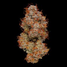 Singapore Sling 3.5g - Plaid Jacket