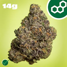 Permanent Marker 14g 41480