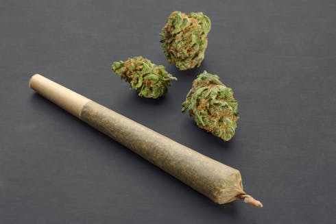 LIIIL STIIIZY PREMIUM JACK THC DISPOSABLE PEN .5g