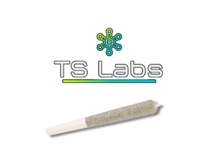 Infused Pre-Roll TS Labs Live Rosin - Pink Certz 1g