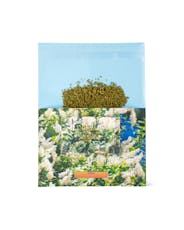 Infused Ground SWEET MAUI KUSH