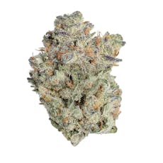Gold Shelf - Banana OG (I)