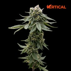 VERTICAL - NIMBUS SNACKS 14G HYBRID