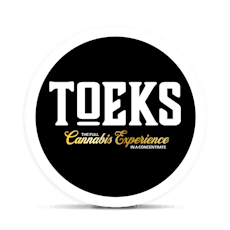 Toeks Terpsillate 1g Disposable - Ghost Train Haze