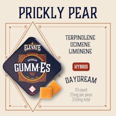 ELEVATE - GUMM-ES - GUMMIES - 250MG - 10PK - PRICKLY PEAR - HYBRID