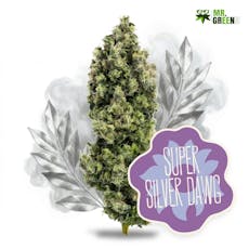 Flower: Super Silver Dawg