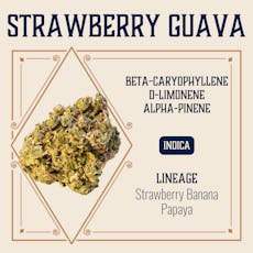 ELEVATE - PREPACK - 3.5G - STRAWBERRY GUAVA - INDICA