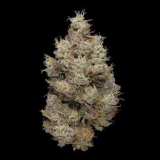 Hash Burger 7g - Plaid Jacket