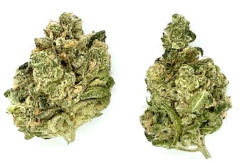 Buds | Blue Dream