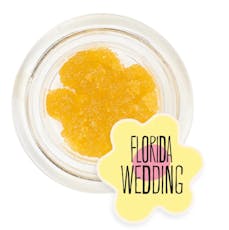 Florida Wedding | Sugar | 1g