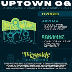 Uptown OG Preroll 2 Pack - 1g