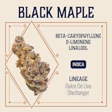 Elevate | Budlets | Black Maple 7g | Tier 1