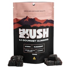 Elderberry Gummies 1:1 | 10 pk.