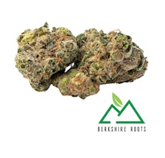 Ice Cream Kush | Flower | 3.5g